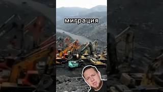 Миграция экскаваторов в тёплые края #спецтехника #экскаватор #automobile #погрузчик #auto