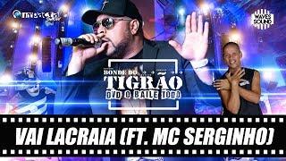 Bonde do Tigrão feat MC Serginho - Vai Lacraia [DVD O Baile Todo]