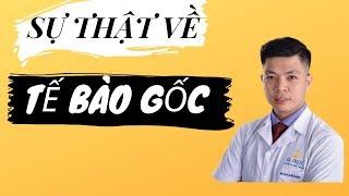 Tế bào gốc trong trẻ hoá da - Chúng ta đang bị lừa bao lâu này mà không biết