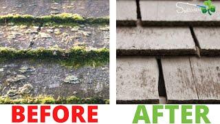 Moss Removal & Repair - Cedar Shake Roof | Sullivan Roof Cleaning