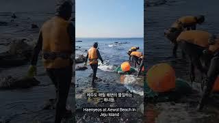 제주도 애월 해변 해녀들