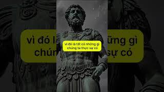 5 quy tắc của chủ nghĩa khắc kỷ từ Marcus Aurelius #khắckỷ #chủ nghĩa khắc kỷ #triếthọc  #khacky