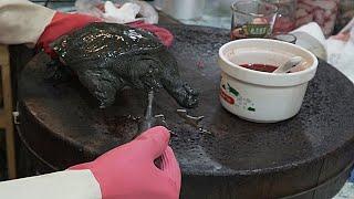 Taiwanese Street Food - Cutting Softshell Turtle | Turtle Soup and Blood Drink