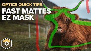 EZ Mask for Fast Selections - Boris FX Optics Quick Tips