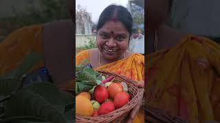 Harvest malberry #shorts #minigarden #harvesting #berry