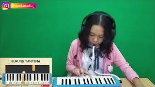 Pianika Lagu Burung Tantina (Sio Tantina) ️ Lagu Daerah Nusantara Maluku ️ Nadia Collab @junfarabi