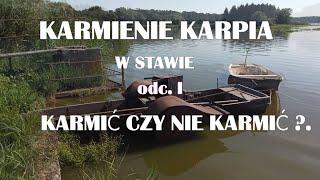 KARMIENIE KARPIA W STAWIE . odc. I