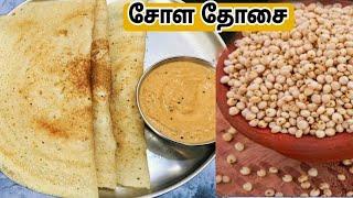 சத்தான சுவையான வெள்ளை சோளம் தோசை செய்வது எப்படி- White Sorghum Dosa in Tamil