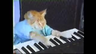 Keyboard Cat 1 Hour (but its only the first part)