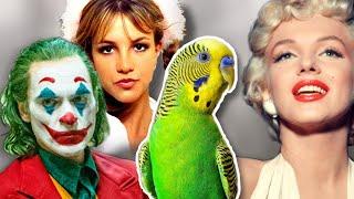 10 Famous People That Own a Budgie