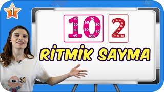 Ritmik Sayma / Birlikte Öğrenelim ‍ 1.Sınıf Matematik