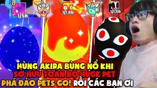 HÙNG AKIRA DÙNG 60 GOD POTION VÀ 500 BÌNH 2.500.000% LUCKY TRÚNG TẤT CẢ 7 HUGE PET PHÁ ĐẢO PETS GO!