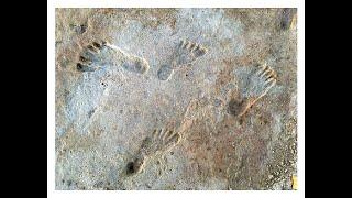 Tracking the First Americans across the White Sands – Early North American Human Footprints