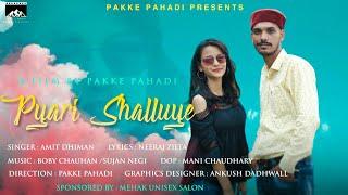 Pyari Shalluye || Teaser || Amit Dhiman ft. Vishali || New Himachali Song 2020 || Pakke Pahadi