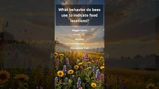 Daily Trivia Quiz | How Smart Are You? General Knowledge Questions #quizchallenge #quizgames #quiz