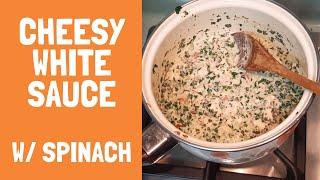 Cheesy White Sauce - Easy Homemade Recipe