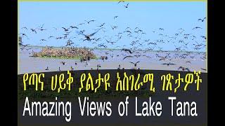 የጣና ሀይቅ ያልታዩ አስገራሚ ገጽታዎች|Amazing Views of Lake Tana| travel Ethiopia