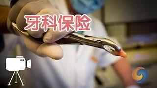 如何选择牙科保险？/Dental insurance