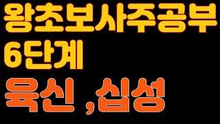 왕초보 사주공부 6단계-육신(육친),십성(십신)이 도대체 머요? 12분안에 그냥 바로 정리해드림.