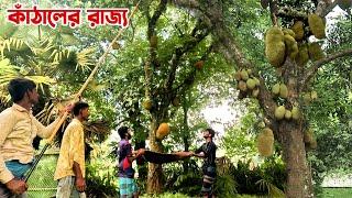 কাঁঠালের রাজ্য গাজীপুরের শ্রীপুরে || Panorama Documentary