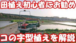 6条以下の田植機にお勧めの植え方。#田植え #田植機