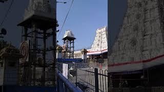 Unknown facts about tirupati venkateswara swami #shorts #tirupati #balaji