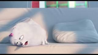 Max & Gidget - THE SECRET LIFE OF PETS Movie Clip