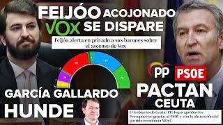 ¡FEIJÓO ACOJONADO CON QUE VOX SE DISPARE, GARCÍA-GALLARDO HUNDE A MAÑUECO Y PP-PSOE PACTAN EN CEUTA!