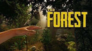The Forest - Launch-Trailer