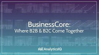 Making Business Data & B2B Marketing Personal with BusinessCore