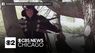 Colbert reacts to DuPage County, Illinois Forest Preserve cicada video