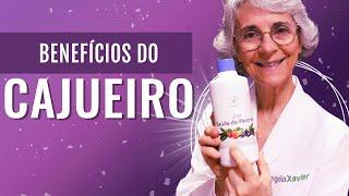 Cajueiro: diabetes, hipertensão, colesterol, gastrite, afrodisíaco, feridas, câncer e muito mais