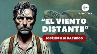 "El viento distante", CUENTO CORTO de José Emilio Pacheco | literatura | AUDIOCUENTO | lectura