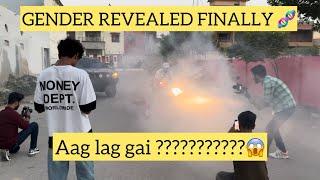 OFFICIALLY GENDER REVEAL 🩵🩷 | AAG LG GAE  | BEGUM KIU SATH NAHI ? 