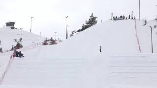 Fearless Finns Freeski SM Ruka Big Air 2024