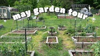 May 2024 FULL garden & homestead tour (2 acres | zone 7a | Virginia) - vegetables, chickens, goats