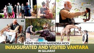 Prime Minister Narendra Modi inaugurated and visited Vantara in Gujarat