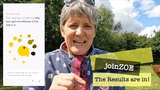 Zoe Nutrition part 4 my results, what they mean, how I feel
