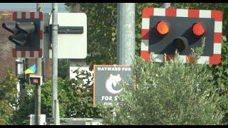 Brockenhurst Level Crossing