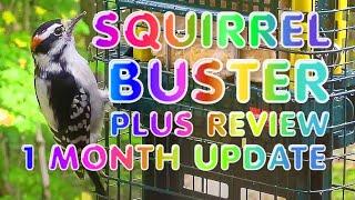 SQUIRREL BUSTER PLUS REVIEW - 1 MONTH REVIEW SQUIRREL BUSTER PLUS BIRD FEEDER - BROME BIRD CARE