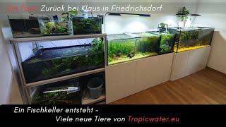 On Tour: Zurück bei Klaus in Friedrichsdorf -Viele neue Fische von Tropicwater ziehen ein!