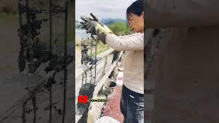 Handmade Concrete boundary Fence Construction #concrete #diy #handmade #construction