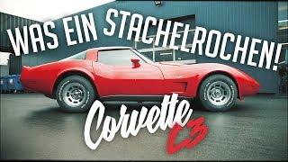 JP Performance - Was ein Stachelrochen! | Chevrolet Corvette C3