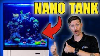 STUNNING Nano Reef Tour - Innovative Marine Nuvo 15 Showcase!