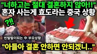 "너하고는 절대 결혼하지 않아!!" 혼자 사는게 효도라는 중국 상황 "아들아 결혼 안하면 안되겠니.."