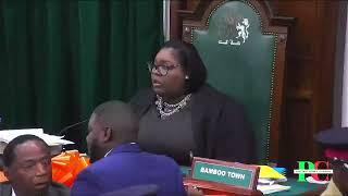 Bahamas MP Throws Ceremonial Mace Out Parliament Window