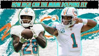 Miami Dolphins 2024 Season Expectations by Positions