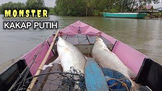 Mancing Kakap Putih Monster Muara Sungai Pakai Joran Bambu#mancingkakapputih