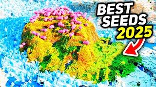 Top 25 Minecraft Seeds YOU NEED TO TRY In 2025!