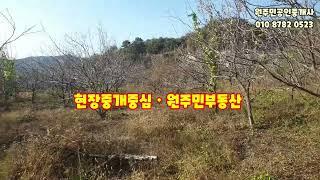 여주부동산 배산임수 산아래 대지와 전 600평 매매~ 펜션,풀빌라,요양원,캠핑장으로 쓰실분~